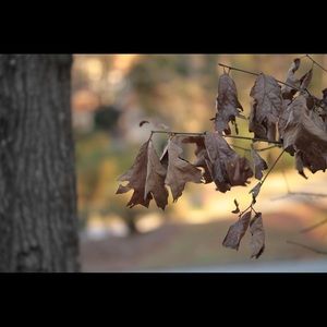 Meet your Posher, Prince